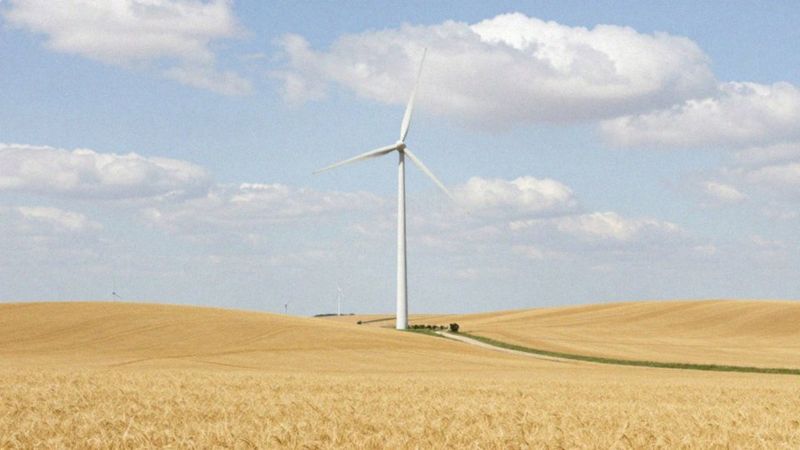Jak rozwija się energetyka wiatrowa w Polsce?