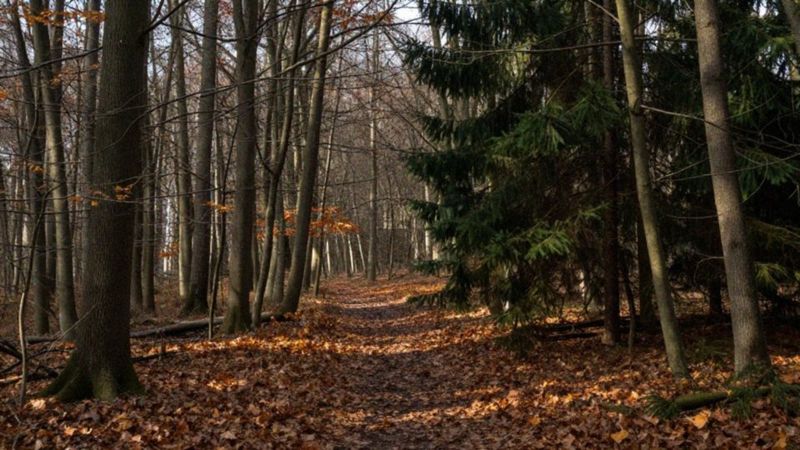 Jak prowadzone są ćwiczenia taktyczne w terenie podczas WOT?