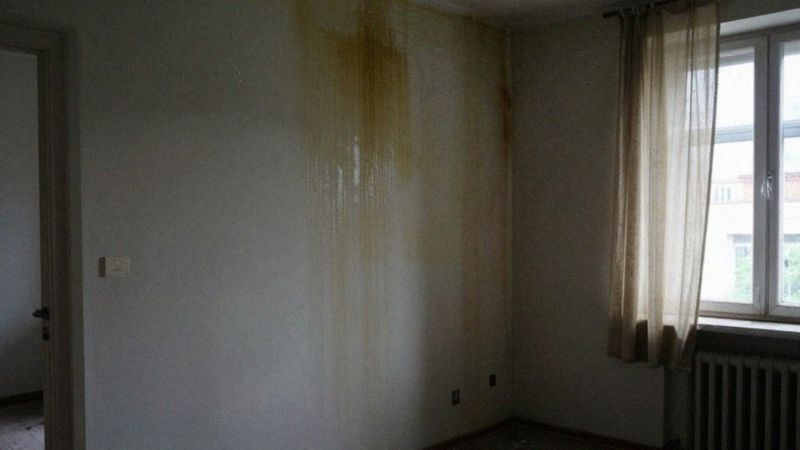 Czy najemca może wypowiedzieć natychmiast z powodu wad lokalu?