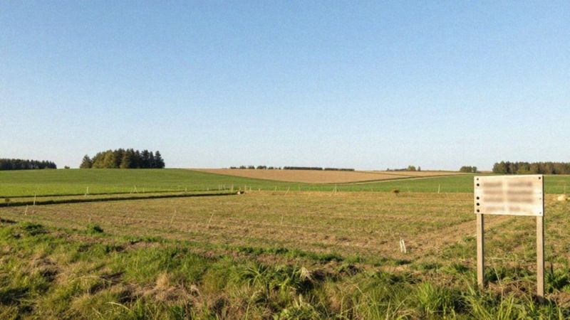 Jakie są zalety inwestowania w działki budowlane?