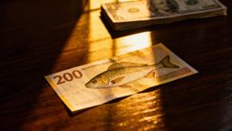 200 koron norweskich ile to zł? Jak przeliczyć i gdzie wymienić?