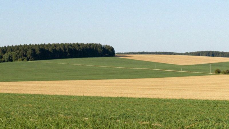 Jakie grunty są zwolnione z podatku od nieruchomości?