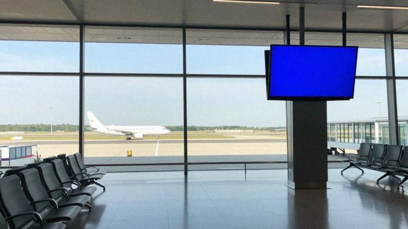 Jak wygląda ścieżka kariery w Wizz Air?