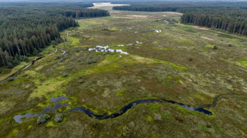 Dlaczego Dolina Rospudy jest unikatowym torfowiskiem?
