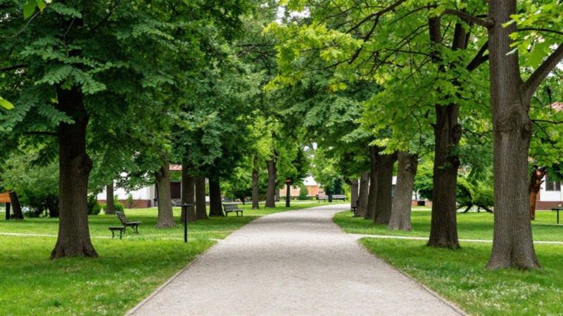 Które miejscowości są przyjazne psom?