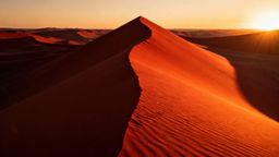 Gdzie leżą Emiraty Arabskie? Mapa i najważniejsze informacje