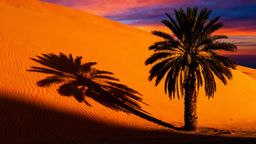 Gdzie leży Arabia Saudyjska? Geografia i sąsiedzi tego fascynującego kraju