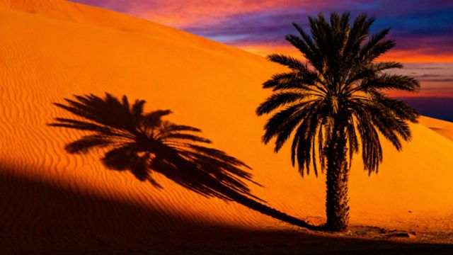 Gdzie leży Arabia Saudyjska? Geografia i sąsiedzi tego fascynującego kraju